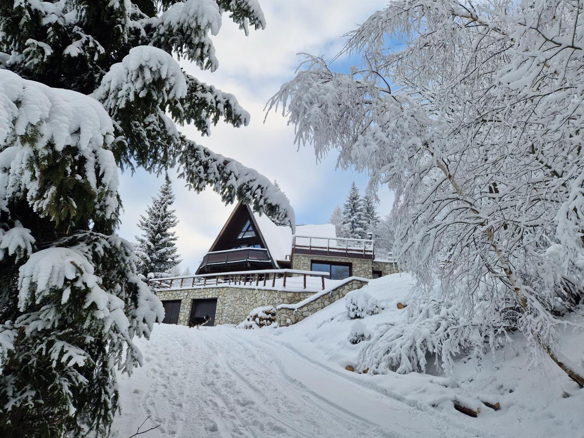 Le Chalet Pointu De Capucine Bourg-Saint-Maurice Ngoại thất bức ảnh